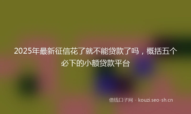 2025年最新征信花了就不能贷款了吗，概括五个必下的小额贷款平台