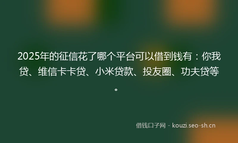 2025年的征信花了哪个平台可以借到钱有：你我贷、维信卡卡贷、小米贷款、投友圈、功夫贷等。