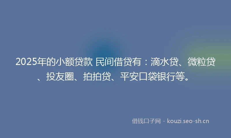 2025年的小额贷款 民间借贷有：滴水贷、微粒贷、投友圈、拍拍贷、平安口袋银行等。