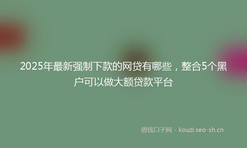2025年最新强制下款的网贷有哪些，整合5个黑户可以做大额贷款平台