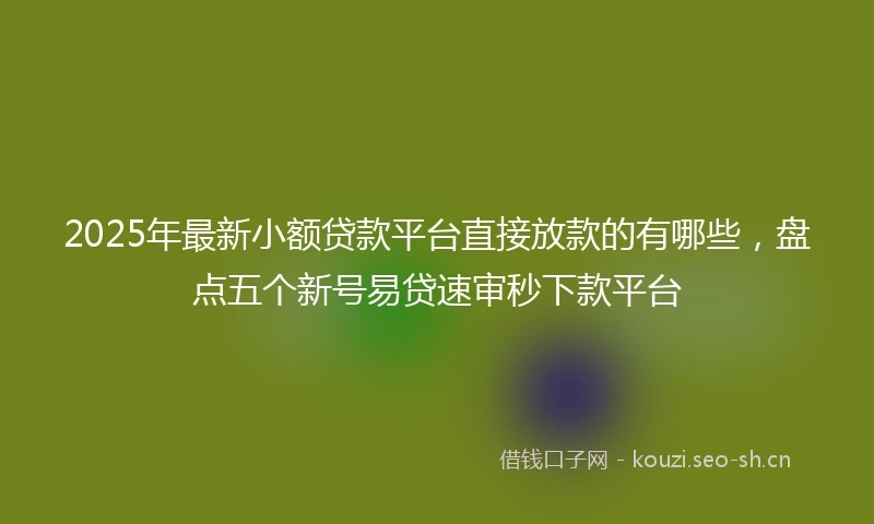 2025年最新小额贷款平台直接放款的有哪些，盘点五个新号易贷速审秒下款平台