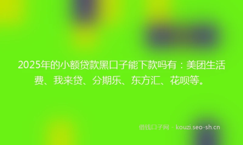 2025年的小额贷款黑口子能下款吗有：美团生活费、我来贷、分期乐、东方汇、花呗等。