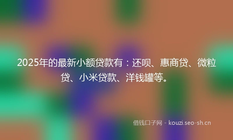 2025年的最新小额贷款有：还呗、惠商贷、微粒贷、小米贷款、洋钱罐等。