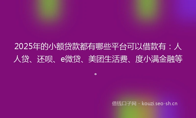 2025年的小额贷款都有哪些平台可以借款有：人人贷、还呗、e微贷、美团生活费、度小满金融等。