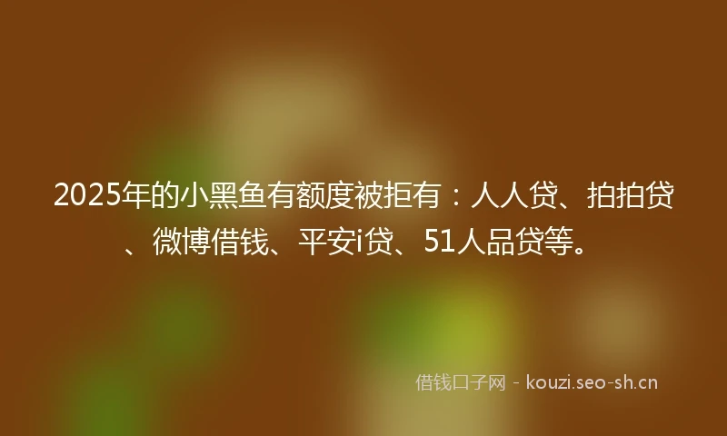 2025年的小黑鱼有额度被拒有：人人贷、拍拍贷、微博借钱、平安i贷、51人品贷等。