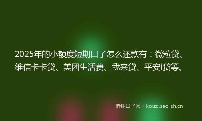 2025年的小额度短期口子怎么还款有：微粒贷、维信卡卡贷、美团生活费、我来贷、平安i贷等。