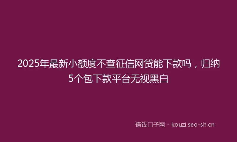 2025年最新小额度不查征信网贷能下款吗，归纳5个包下款平台无视黑白