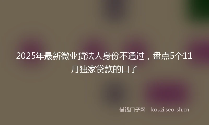 2025年最新微业贷法人身份不通过，盘点5个11月独家贷款的口子