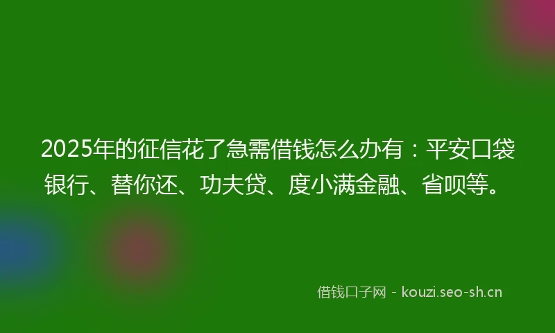 2025年的征信花了急需借钱怎么办有：平安口袋银行、替你还、功夫贷、度小满金融、省呗等。