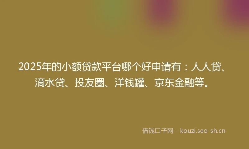 2025年的小额贷款平台哪个好申请有：人人贷、滴水贷、投友圈、洋钱罐、京东金融等。