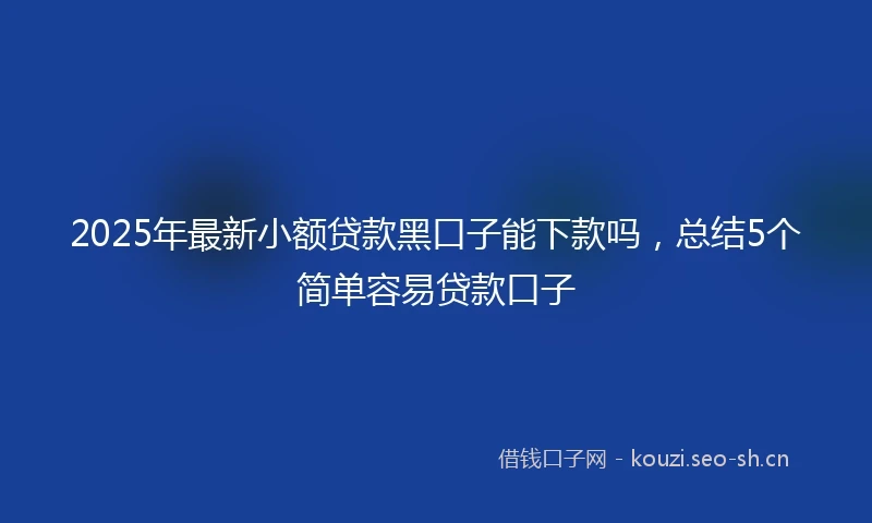 2025年最新小额贷款黑口子能下款吗，总结5个简单容易贷款口子