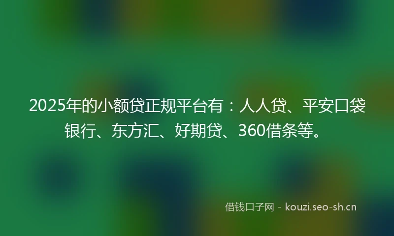 2025年的小额贷正规平台有：人人贷、平安口袋银行、东方汇、好期贷、360借条等。