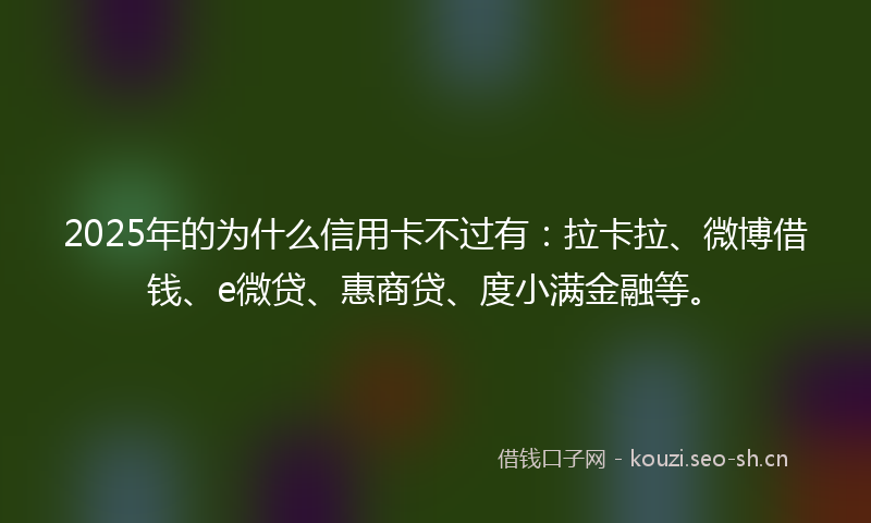 2025年的为什么信用卡不过有：拉卡拉、微博借钱、e微贷、惠商贷、度小满金融等。