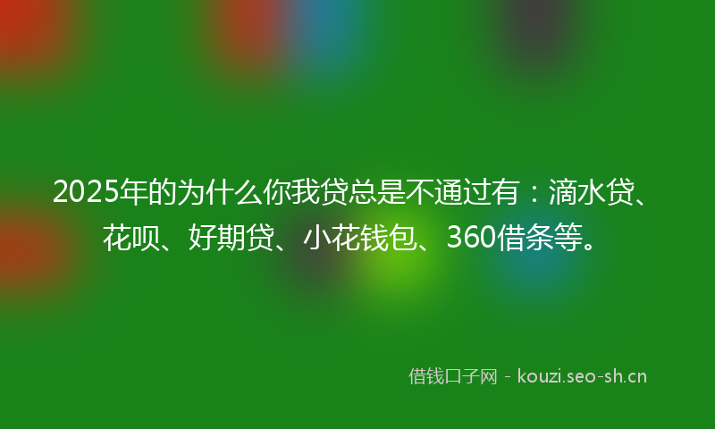 2025年的为什么你我贷总是不通过有：滴水贷、花呗、好期贷、小花钱包、360借条等。
