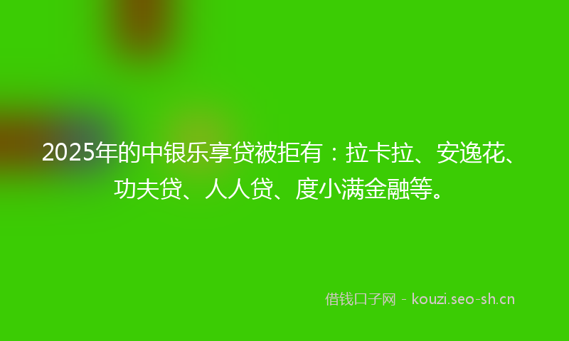 2025年的中银乐享贷被拒有:拉卡拉、安逸花、功夫贷、人人贷、度小满金融等。