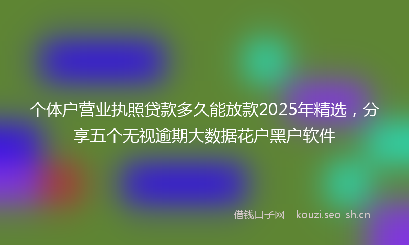 个体户营业执照贷款多久能放款2025年精选,分享五个无视逾期大数据花户黑户软件