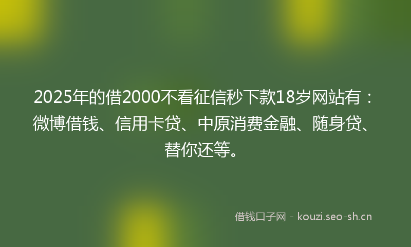 2025年的借2000不看征信秒下款18岁网站有：微博借钱、信用卡贷、中原消费金融、随身贷、替你还等。