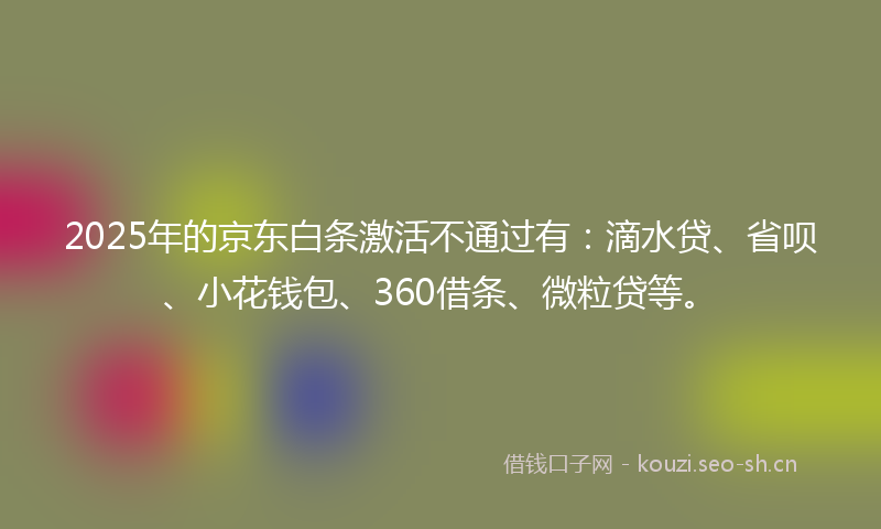 2025年的京东白条激活不通过有：滴水贷、省呗、小花钱包、360借条、微粒贷等。