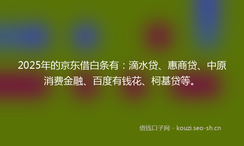 2025年的京东借白条有：滴水贷、惠商贷、中原消费金融、百度有钱花、柯基贷等。