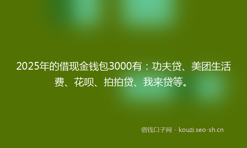 2025年的借现金钱包3000有：功夫贷、美团生活费、花呗、拍拍贷、我来贷等。