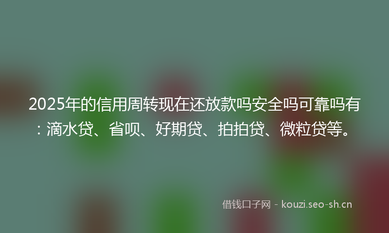 2025年的信用周转现在还放款吗安全吗可靠吗有：滴水贷、省呗、好期贷、拍拍贷、微粒贷等。