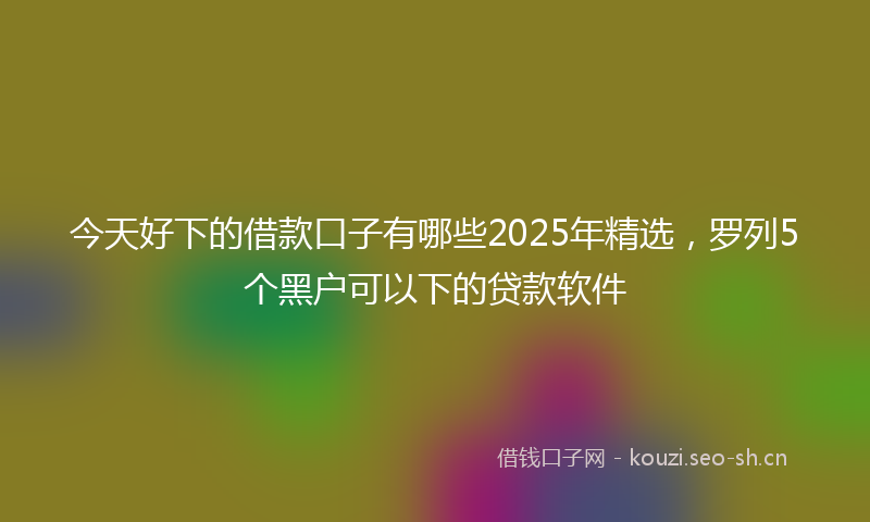 今天好下的借款口子有哪些2025年精选，罗列5个黑户可以下的贷款软件