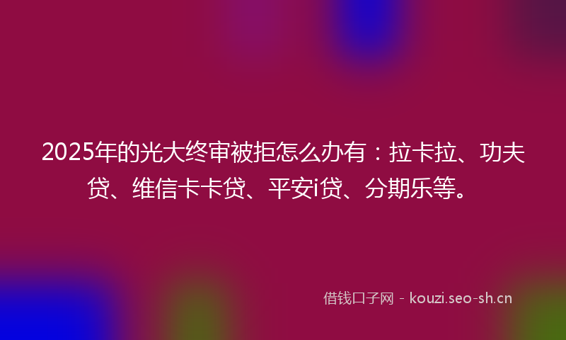 2025年的光大终审被拒怎么办有：拉卡拉、功夫贷、维信卡卡贷、平安i贷、分期乐等。