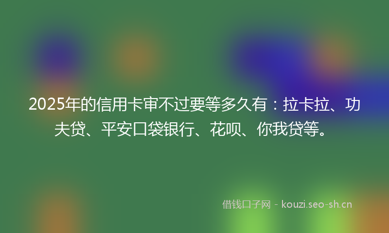 2025年的信用卡审不过要等多久有：拉卡拉、功夫贷、平安口袋银行、花呗、你我贷等。