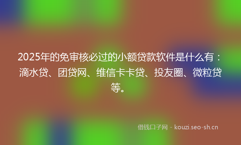 2025年的免审核必过的小额贷款软件是什么有：滴水贷、团贷网、维信卡卡贷、投友圈、微粒贷等。