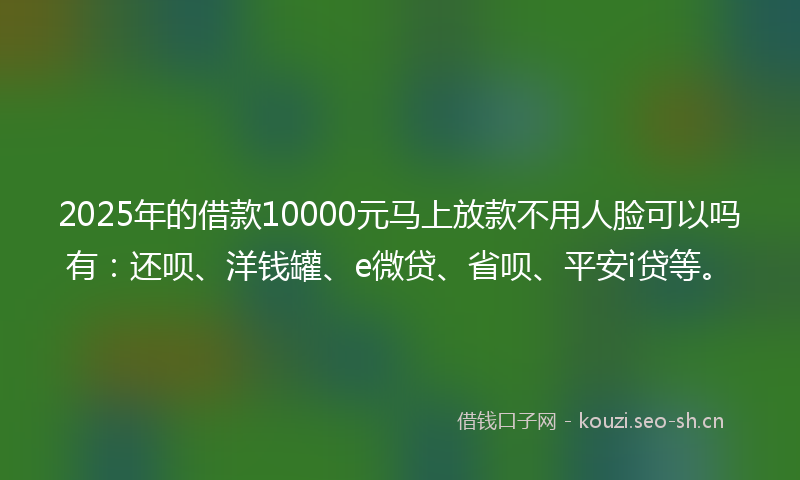 2025年的借款10000元马上放款不用人脸可以吗有：还呗、洋钱罐、e微贷、省呗、平安i贷等。