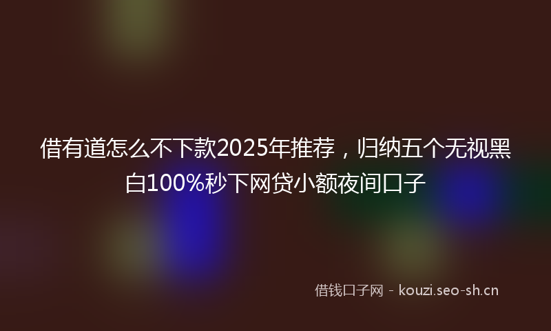 借有道怎么不下款2025年推荐，归纳五个无视黑白100%秒下网贷小额夜间口子