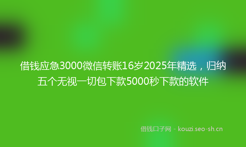 借钱应急3000微信转账16岁2025年精选，归纳五个无视一切包下款5000秒下款的软件