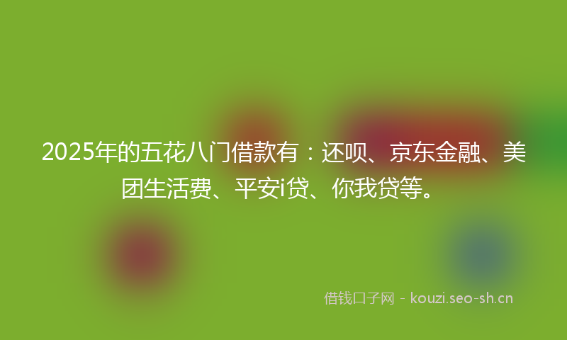 2025年的五花八门借款有：还呗、京东金融、美团生活费、平安i贷、你我贷等。