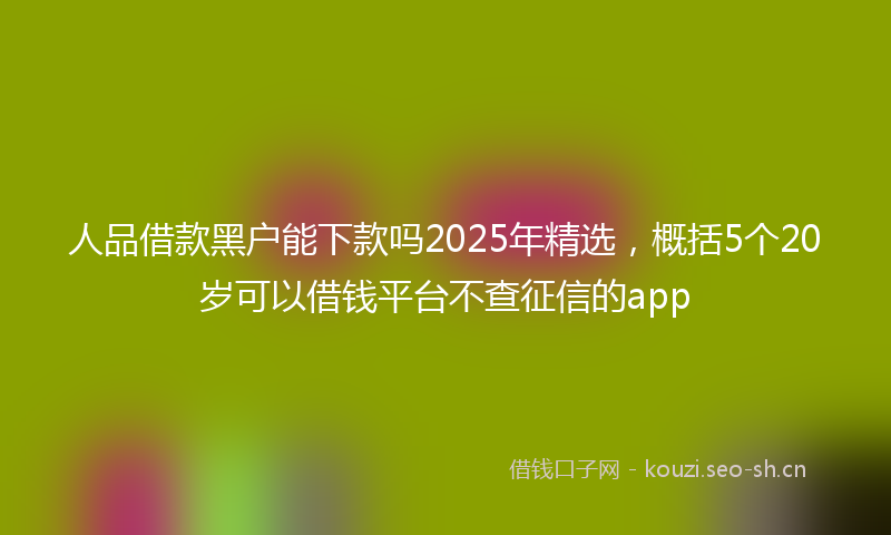 人品借款黑户能下款吗2025年精选，概括5个20岁可以借钱平台不查征信的app