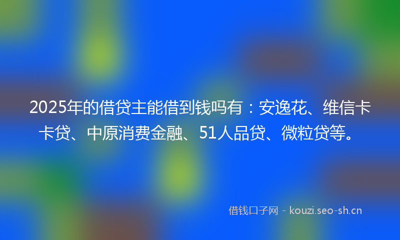 2025年的借贷主能借到钱吗有：安逸花、维信卡卡贷、中原消费金融、51人品贷、微粒贷等。
