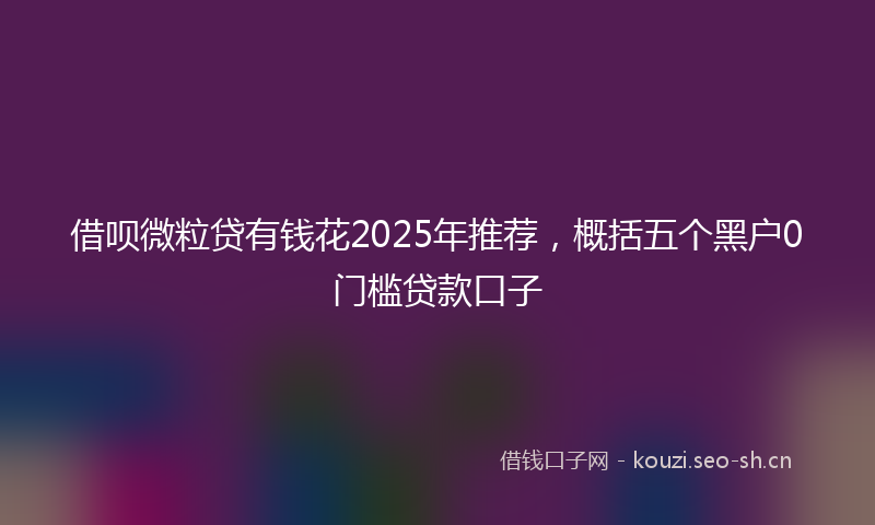 借呗微粒贷有钱花2025年推荐，概括五个黑户0门槛贷款口子