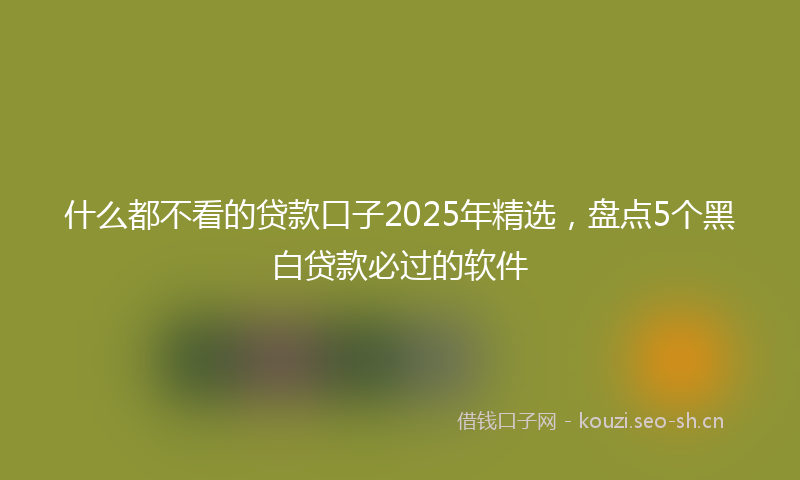 什么都不看的贷款口子2025年精选，盘点5个黑白贷款必过的软件