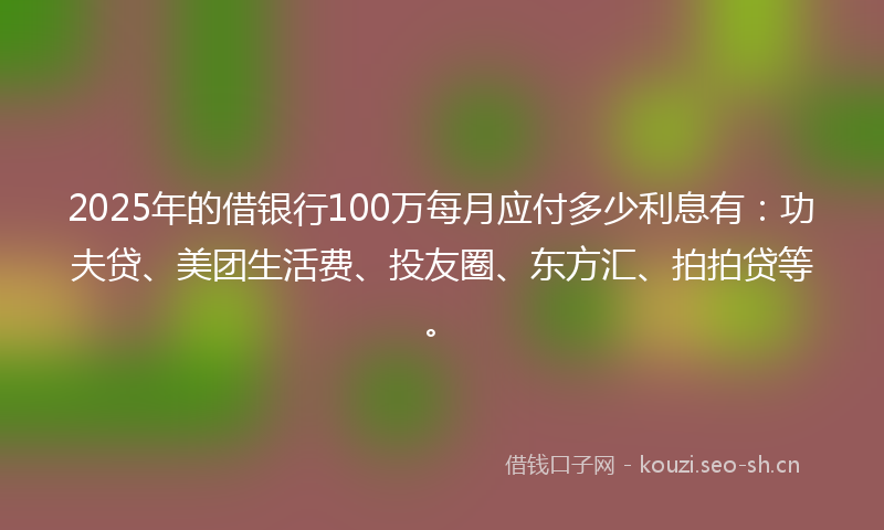 2025年的借银行100万每月应付多少利息有：功夫贷、美团生活费、投友圈、东方汇、拍拍贷等。