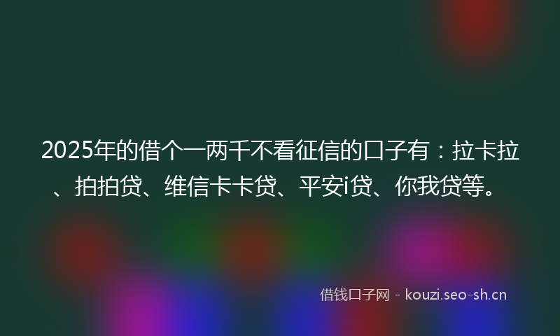 2025年的借个一两千不看征信的口子有：拉卡拉、拍拍贷、维信卡卡贷、平安i贷、你我贷等。