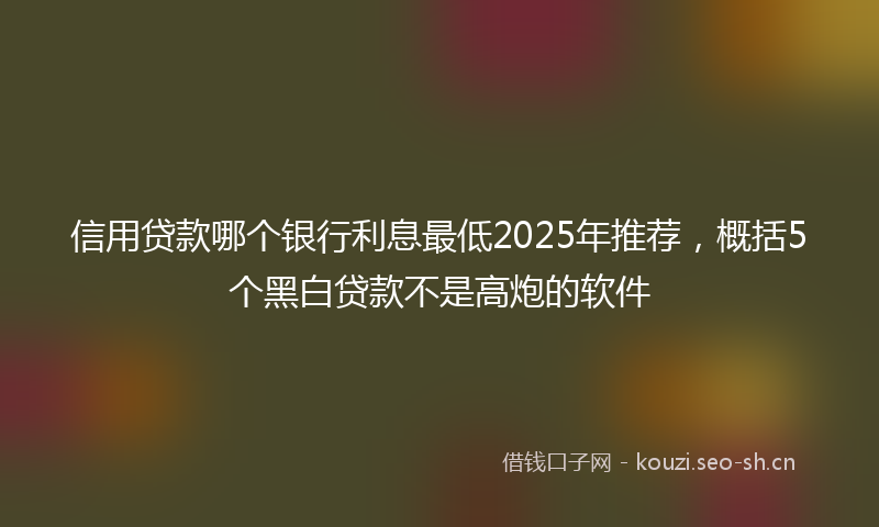 信用贷款哪个银行利息最低2025年推荐，概括5个黑白贷款不是高炮的软件