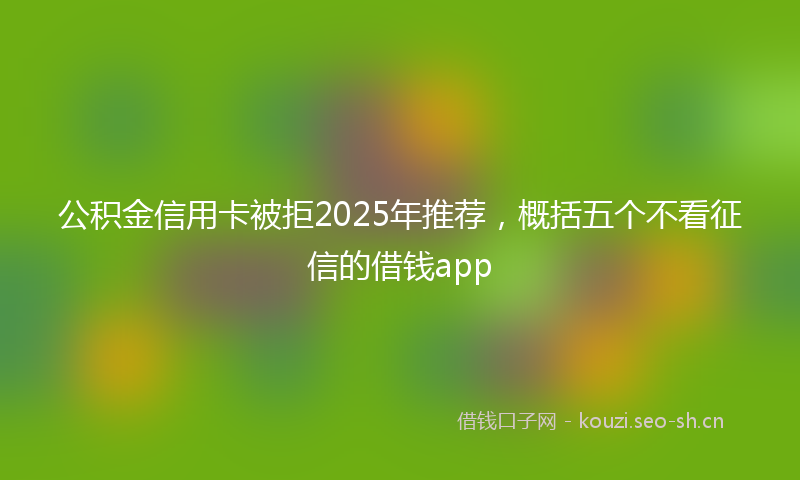 公积金信用卡被拒2025年推荐，概括五个不看征信的借钱app