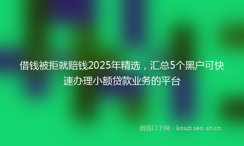 借钱被拒就赔钱2025年精选，汇总5个黑户可快速办理小额贷款业务的平台