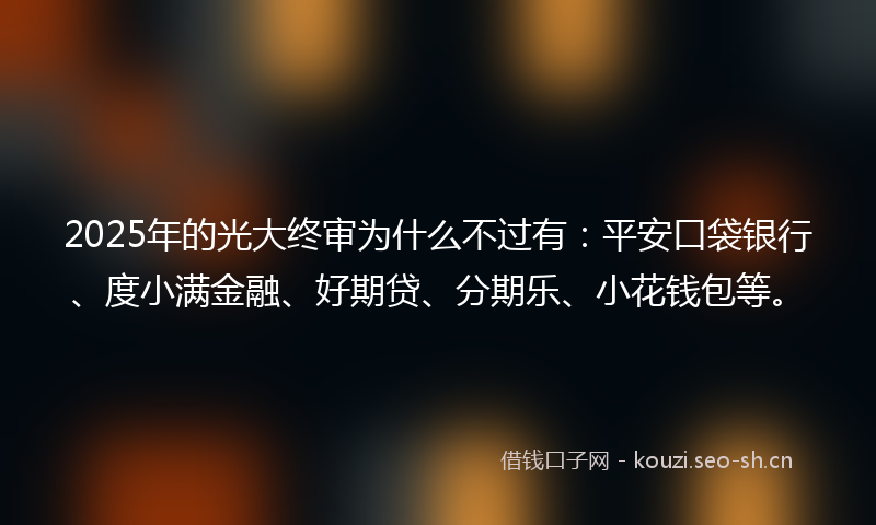 2025年的光大终审为什么不过有：平安口袋银行、度小满金融、好期贷、分期乐、小花钱包等。