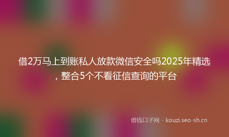 借2万马上到账私人放款微信安全吗2025年精选，整合5个不看征信查询的平台