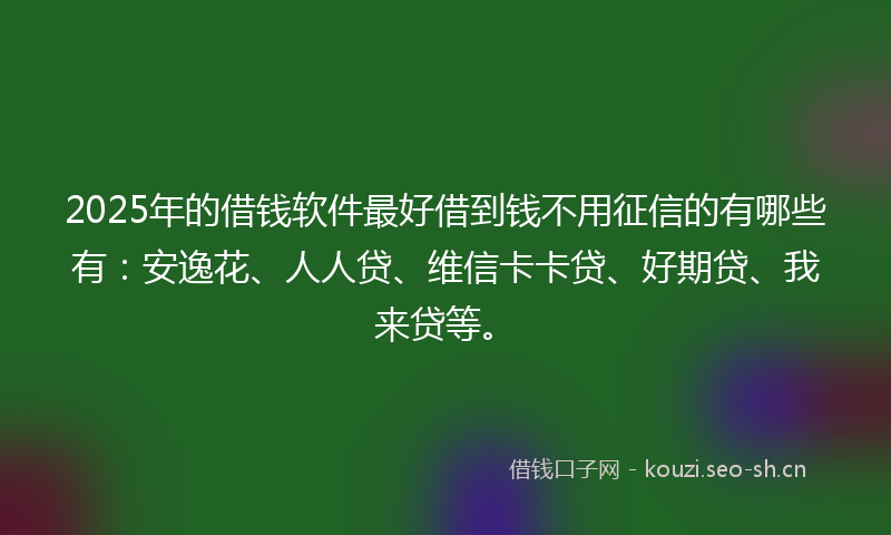 2025年的借钱软件最好借到钱不用征信的有哪些有：安逸花、人人贷、维信卡卡贷、好期贷、我来贷等。