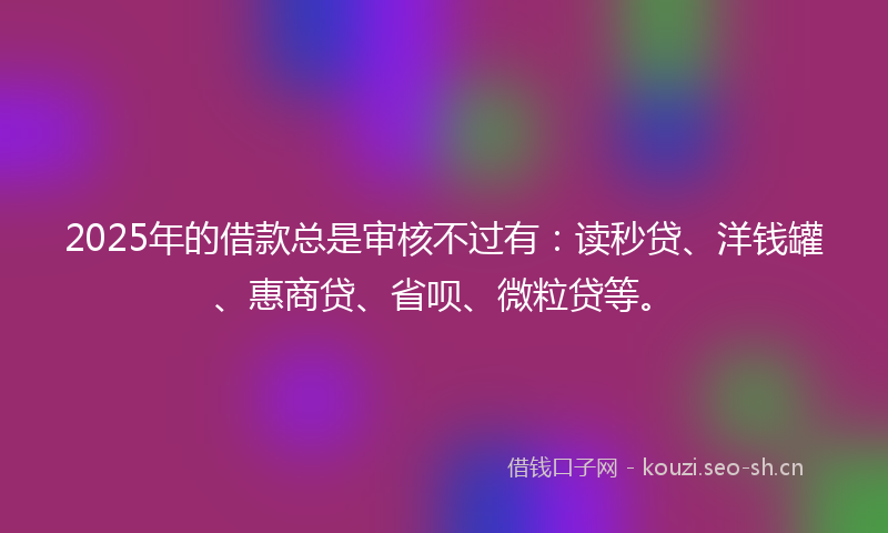 2025年的借款总是审核不过有：读秒贷、洋钱罐、惠商贷、省呗、微粒贷等。