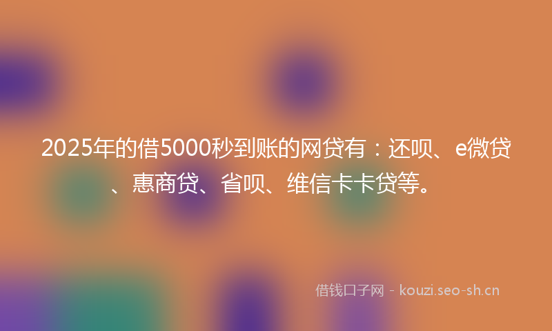 2025年的借5000秒到账的网贷有：还呗、e微贷、惠商贷、省呗、维信卡卡贷等。