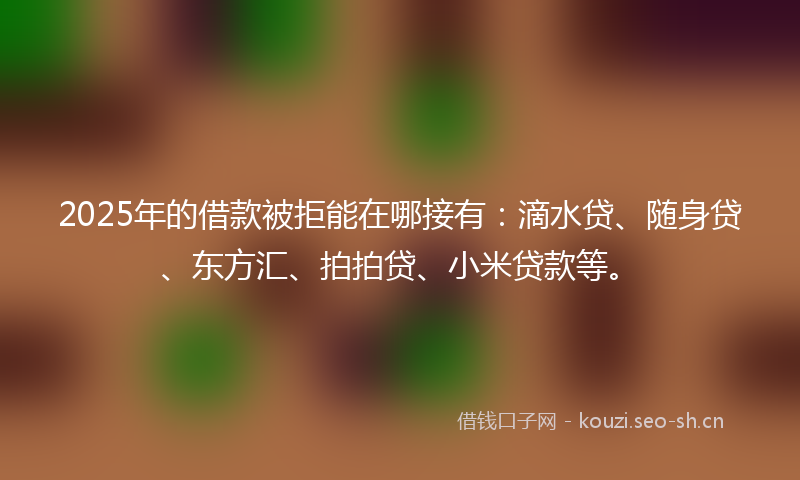 2025年的借款被拒能在哪接有：滴水贷、随身贷、东方汇、拍拍贷、小米贷款等。