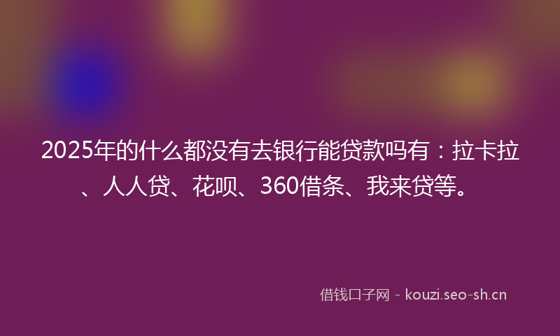 2025年的什么都没有去银行能贷款吗有：拉卡拉、人人贷、花呗、360借条、我来贷等。