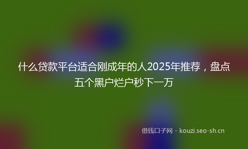 什么贷款平台适合刚成年的人2025年推荐，盘点五个黑户烂户秒下一万